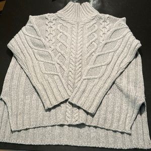 Everlane fisherman’s knit turtleneck sweater